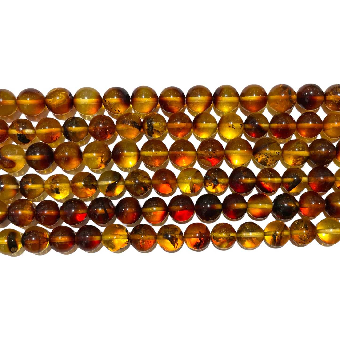 Fil de perles ambres baltiques A+ (couleur 2)