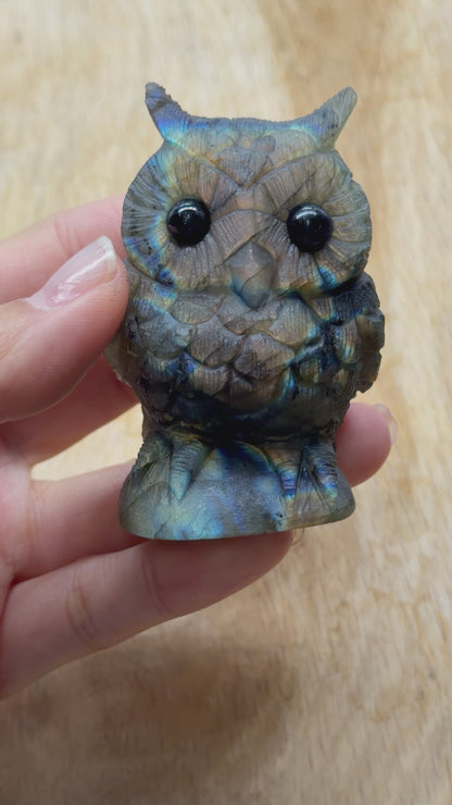 Figurine Hibou en Labradorite AA+ 7x3.5 cm (modèle unique nº24)