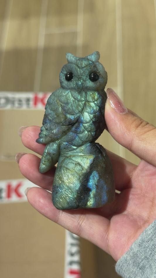 Figurine Hibou en Labradorite AA+ 7x4 cm (modèle unique nº3)