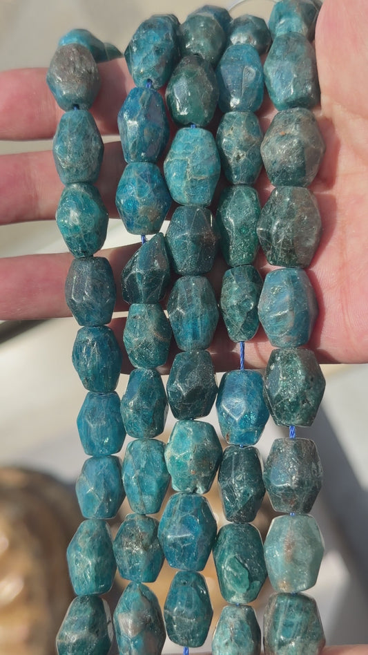 Fil de perle forme libre Apatite bleue 12x16 mm (référence 110)