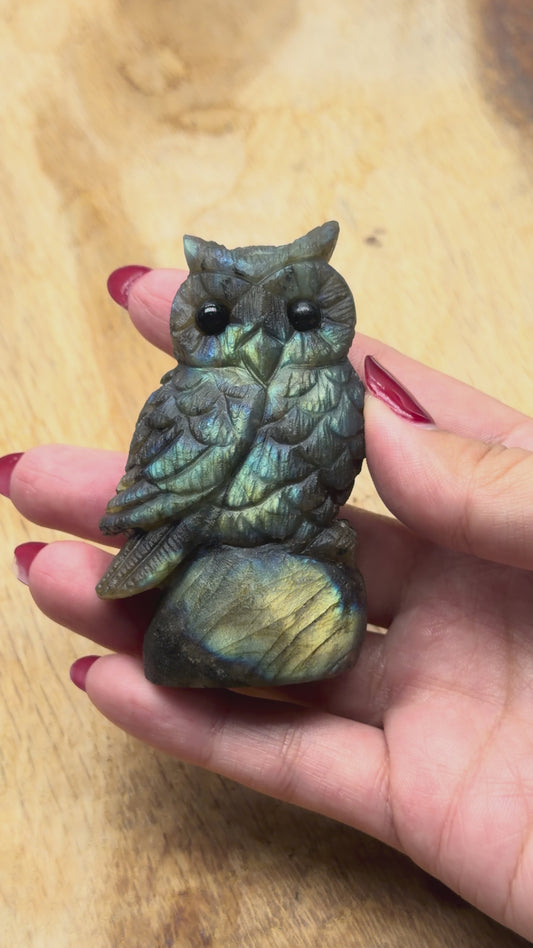 Figurine Hibou en Labradorite AA+ 7x4 cm (modèle unique nº8)