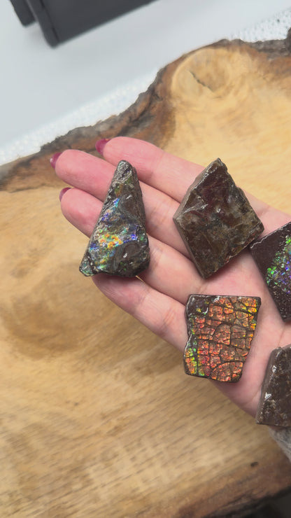 Pendentif Ammolite naturelle du Canada (3x4 cm environ)