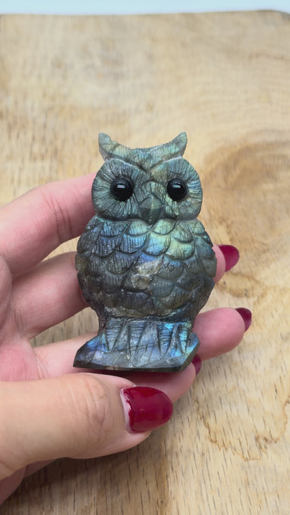 Figurine Hibou en Labradorite AA+ 7x4 cm (modèle unique 1)