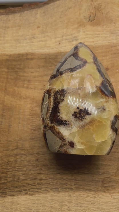 Septaria forme pointe libre