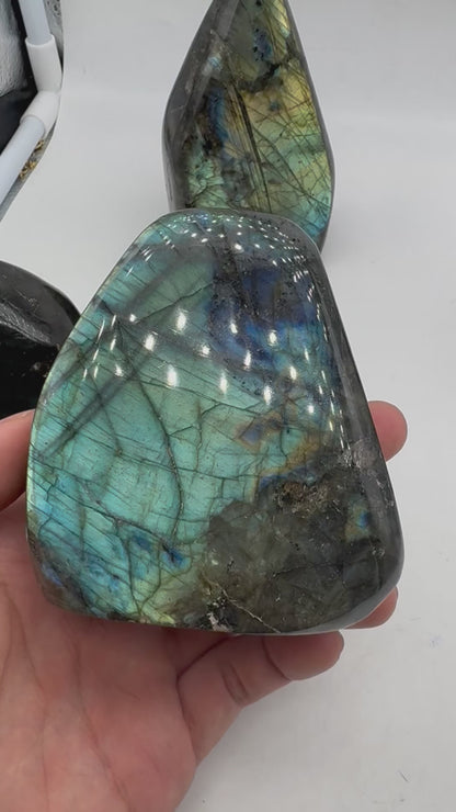 Labradorite forme libre AA+ 591g (Lot 22)