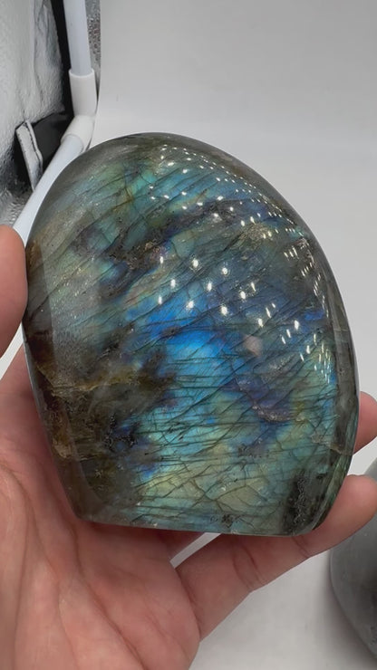 Labradorite forme libre AA+ 595g (Lot 25)