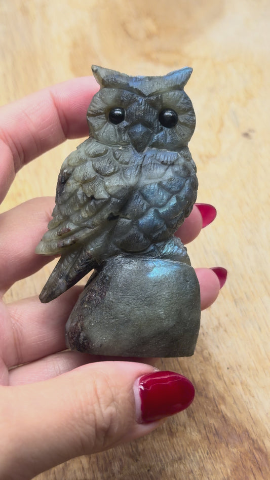 Figurine Hibou en Labradorite AA+ 8x4 cm (modèle unique nº6)