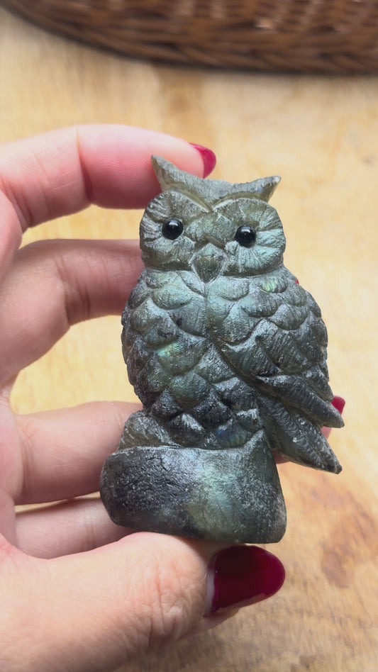 Figurine Hibou en Labradorite AA+ 7x4 cm (modèle unique nº10)