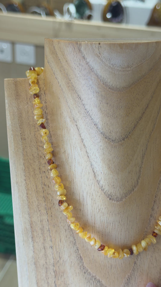 Collier Ambre pour adulte (Reference 8)