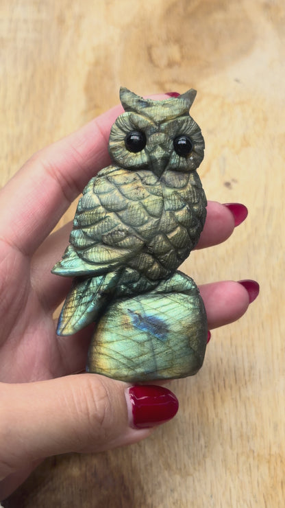 Figurine Hibou en Labradorite AA+ 8,5x5 cm (modèle unique nº18)