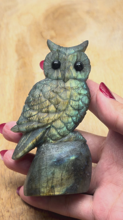 Figurine Hibou en Labradorite AA+ 10x4.5 cm (modèle unique nº15)