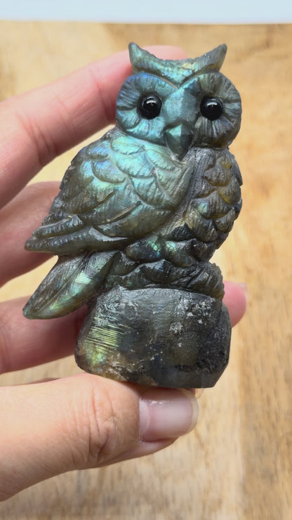 Figurine Hibou en Labradorite AA+ 8x3 cm (modèle unique nº23)