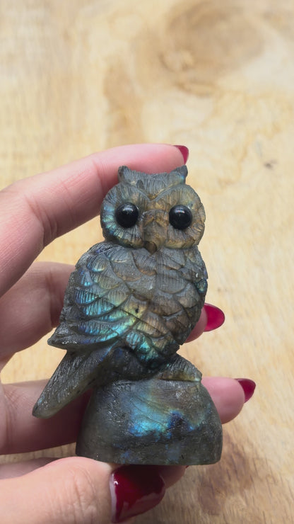 Figurine Hibou en Labradorite AA+ 8x4 cm (modèle unique nº3)