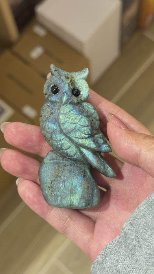 Figurine Hibou en Labradorite AA+ 7x4 cm (modèle unique nº2)