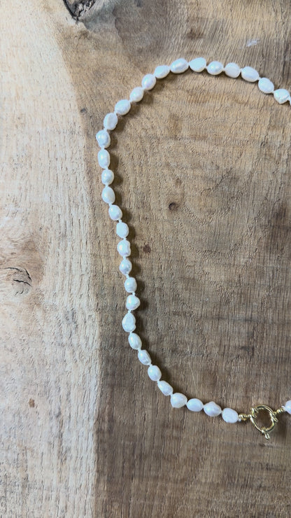 Collier en perles d’eau douce 5-6 mm attache bouée en acier doré numéro 8