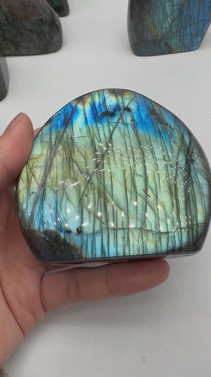 Labradorite forme libre AA+ 455g (Lot 16)