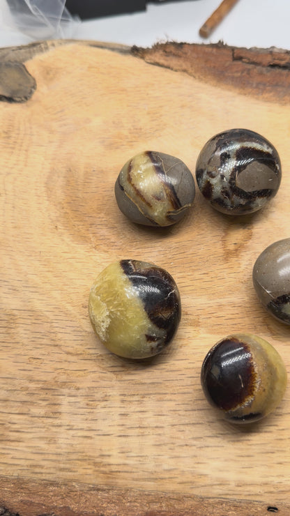 Pierre roulée en septaria 300 g