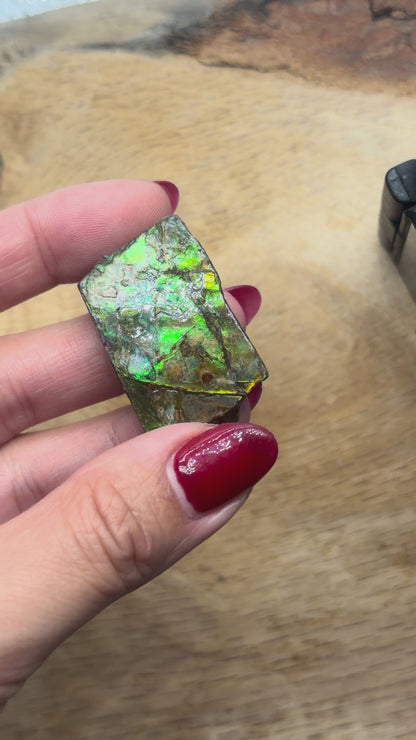 Pendentif Ammolite naturelle du Canada (3x4 cm environ)