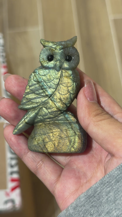Figurine Hibou en Labradorite AA+ 7x4 cm (modèle unique nº5)