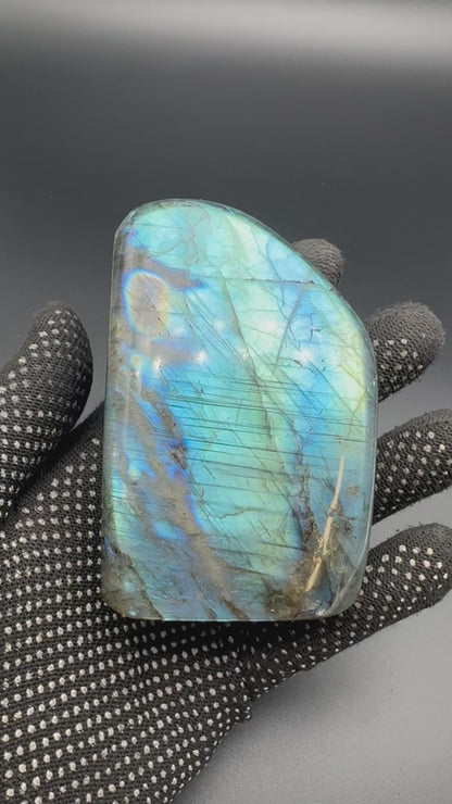 Labradorite flashy forme libre AAA 468g (Lot 9)