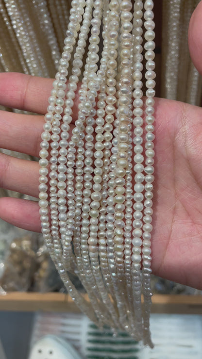 Fil de perle d’eau douce 3.6 mm [33]