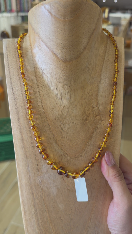 Collier Ambre pour adulte (Reference 32)
