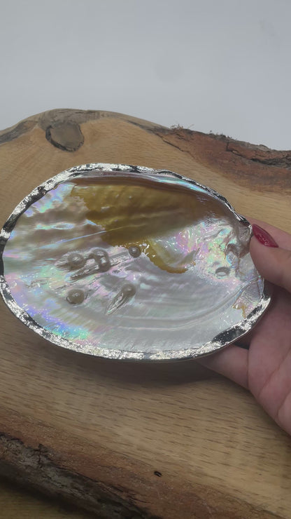 Coquille d'huitre perlière avec ornement doré ou argenté