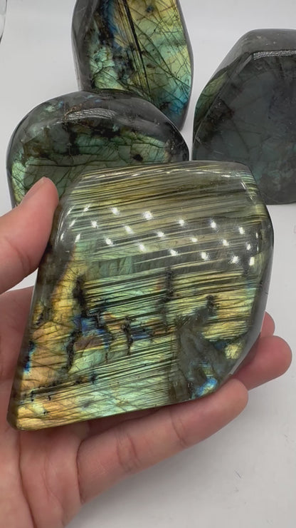 Labradorite forme libre AA+ 525g (Lot 19)