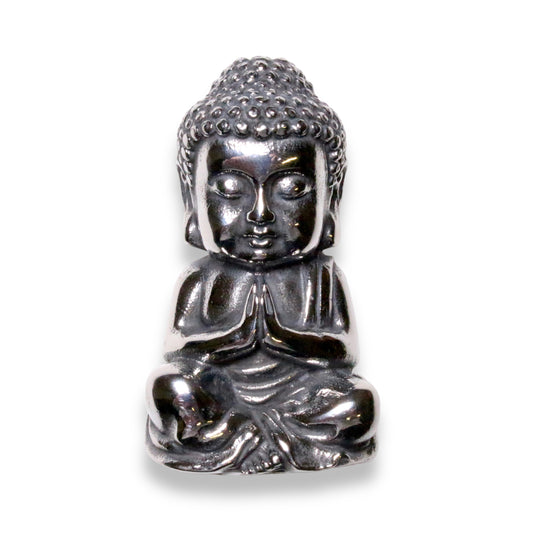 Roestvrijstalen boeddha