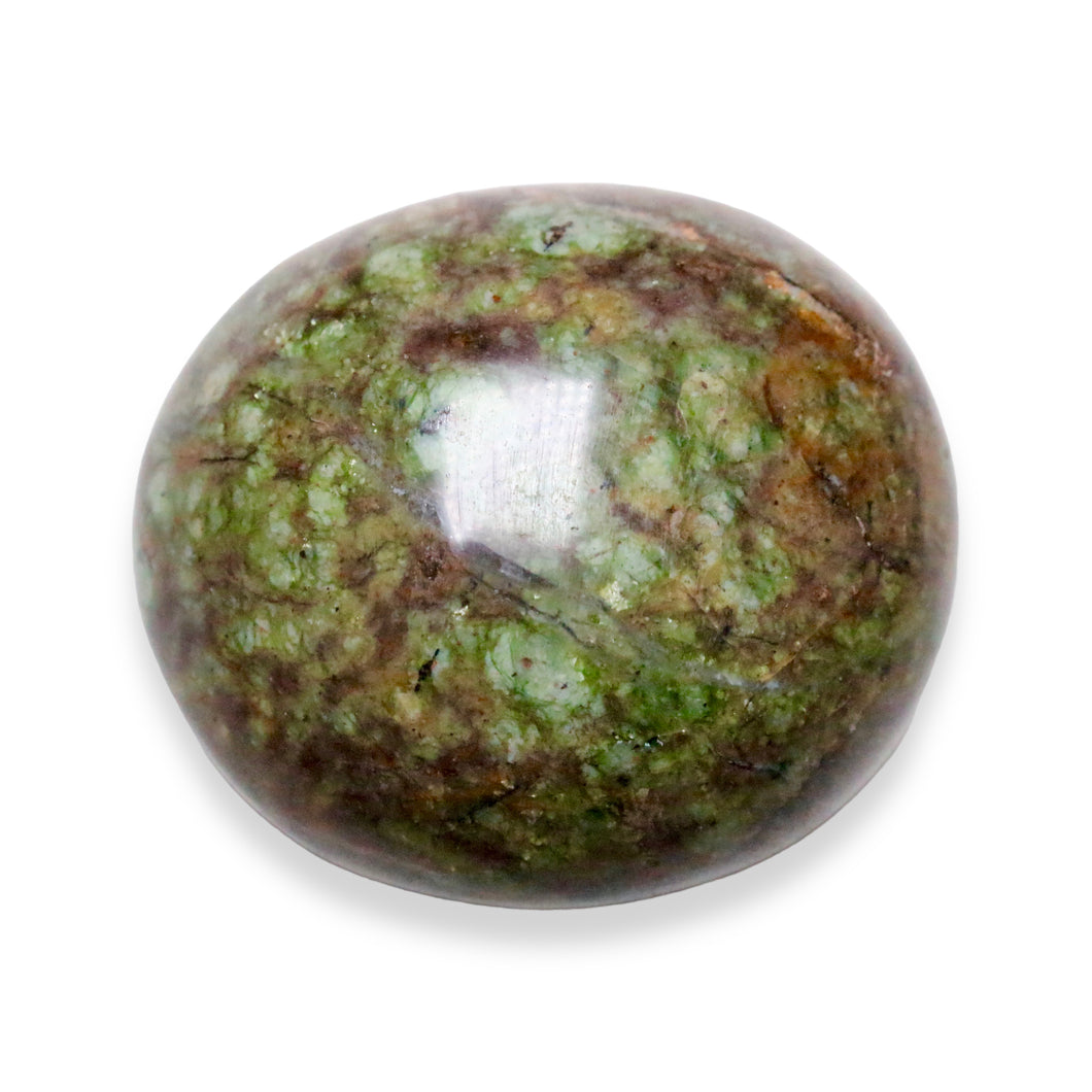 Galet in grün opal fossilisiert pro kg