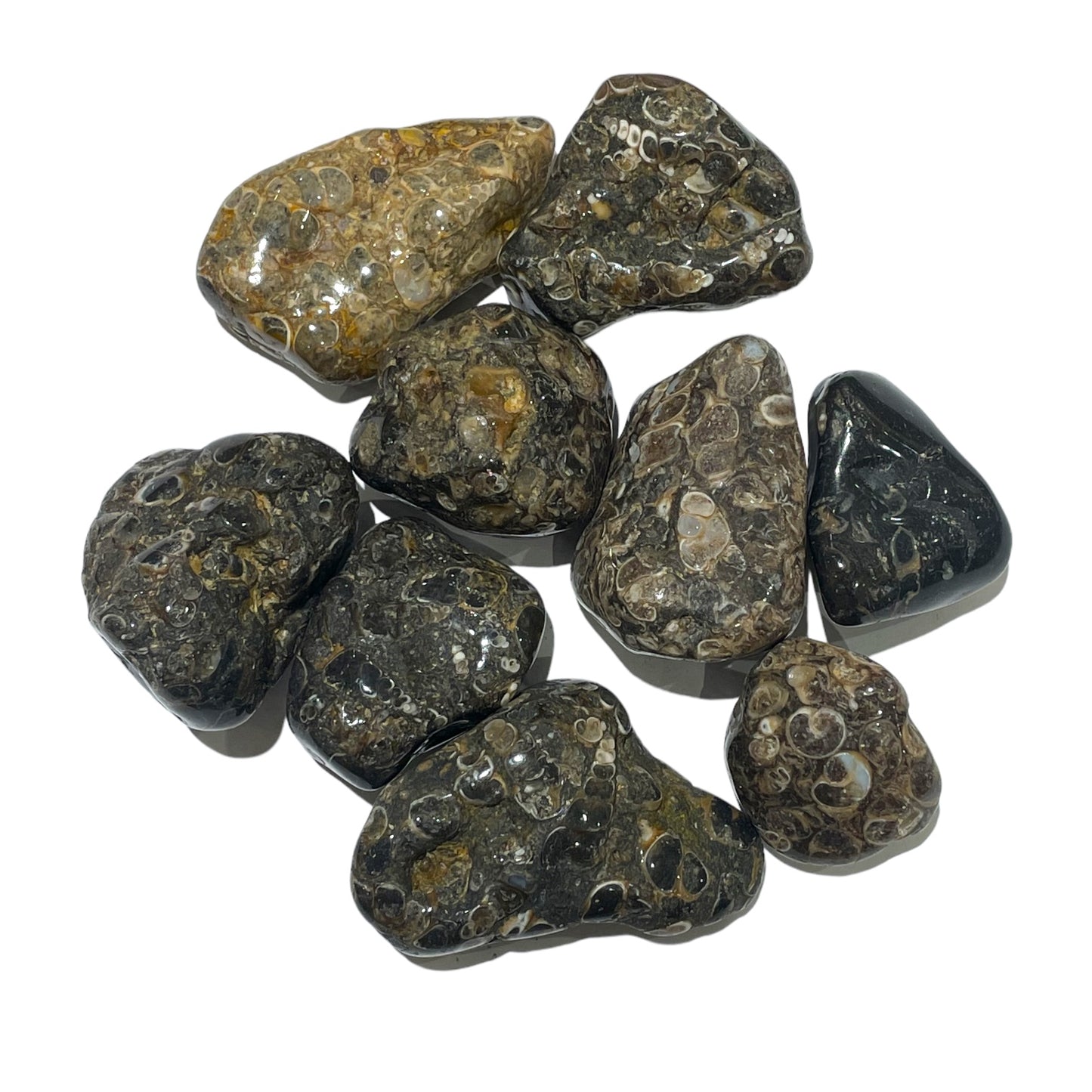 Rolled Stone Agate Turritelle